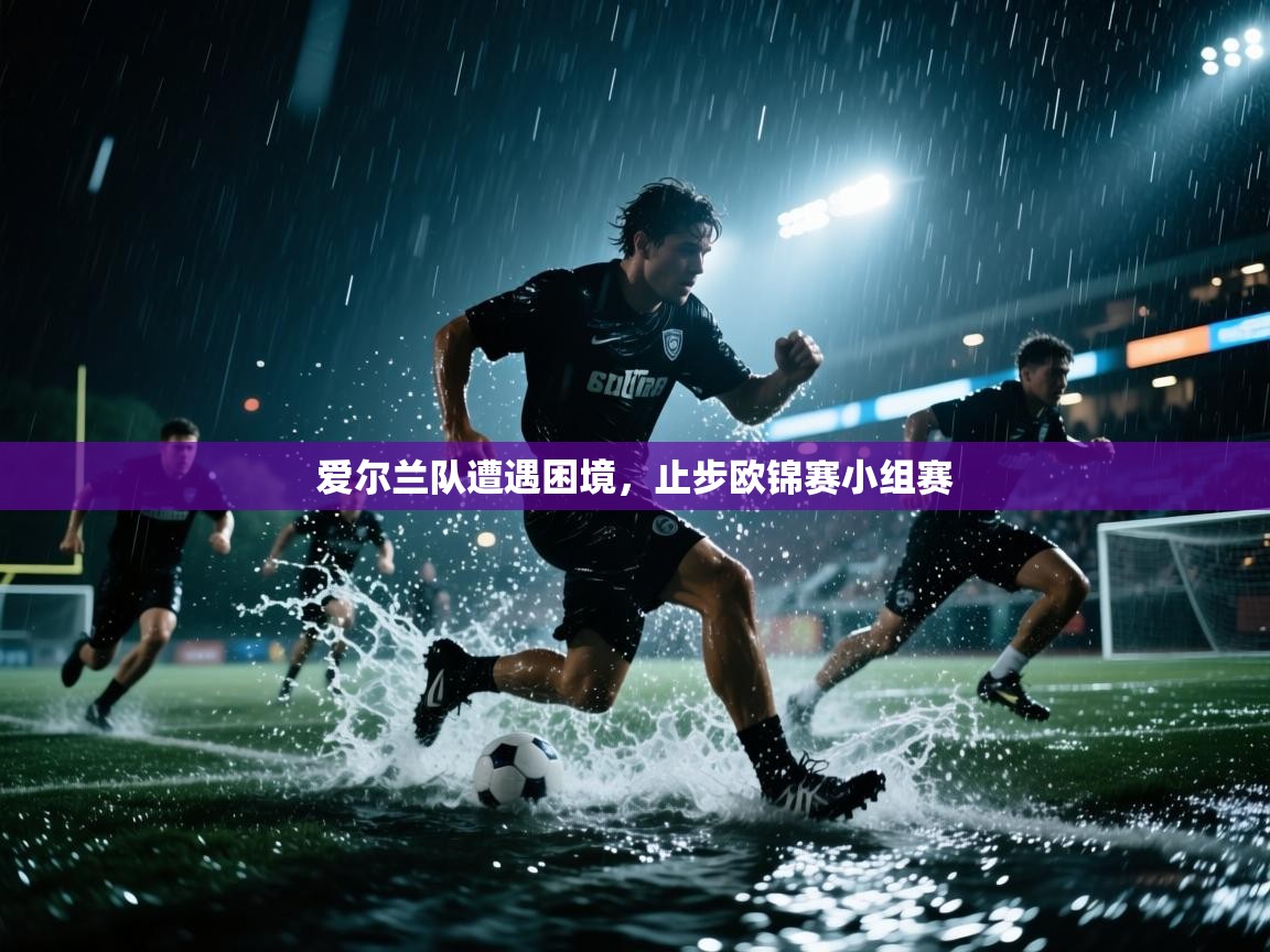 开云体育app网页版入口-爱尔兰队遭遇困境，止步欧锦赛小组赛